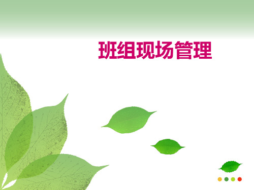 班组现场管理培训课件(PPT 65页)