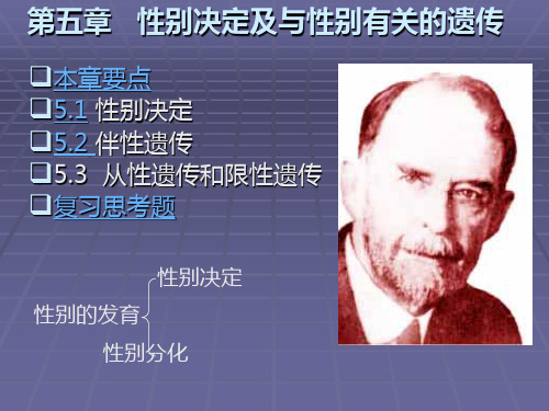 第5章孟德尔遗传
