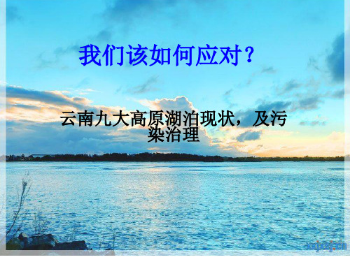 云南九大高原湖泊环境现状 共38页PPT资料