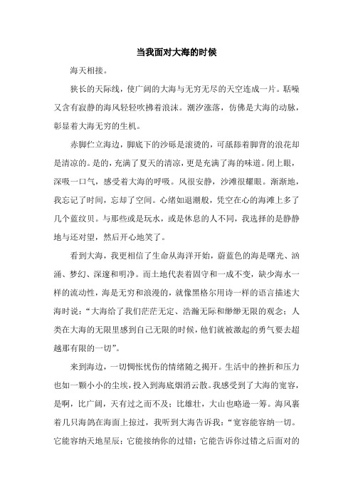 当我面对大海的时候