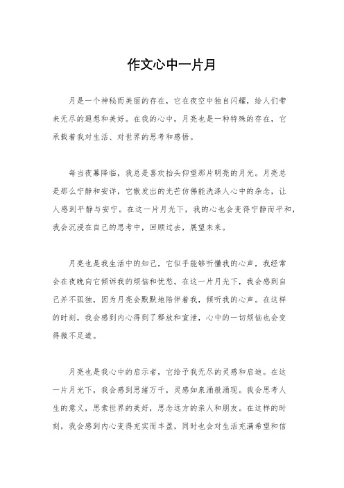 作文心中一片月