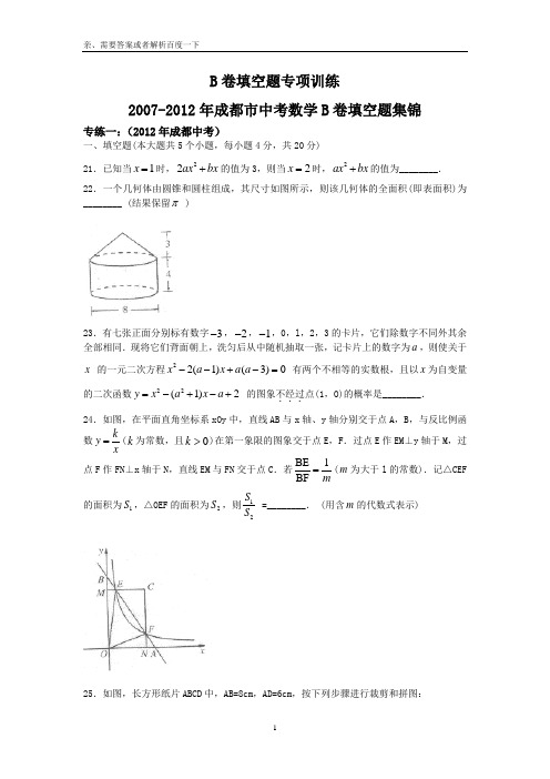 07-12成都中考数学B卷填空题专项练习
