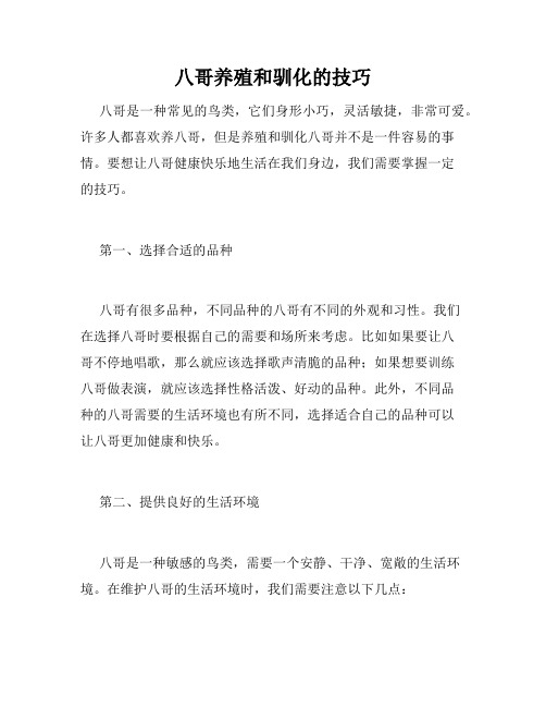 八哥养殖和驯化的技巧 