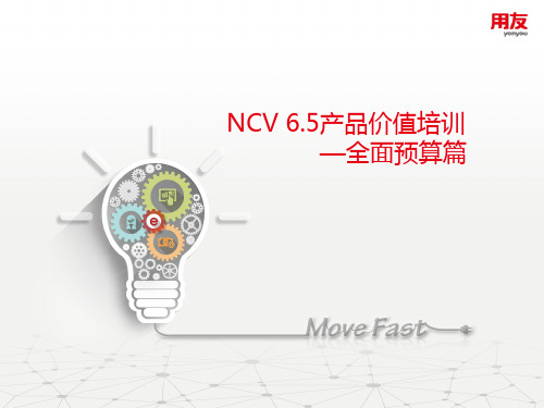 NCV6.5产品价值-全面预算(增量)