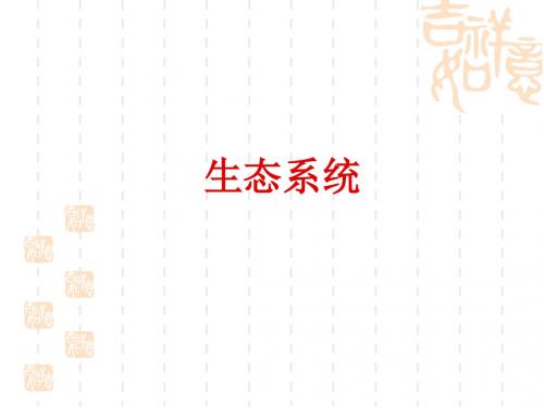高考生物专题复习课件：生态系统ppt 通用