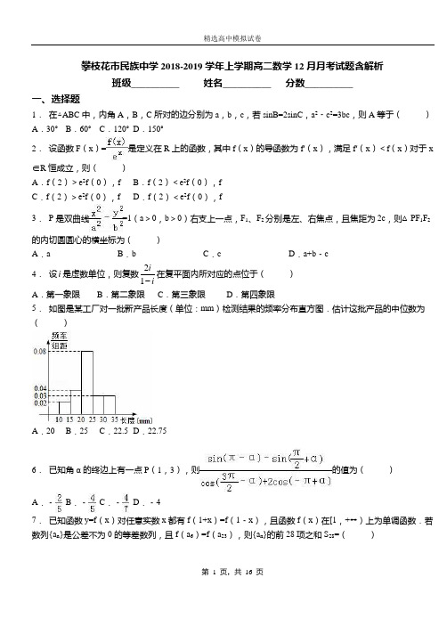 攀枝花市民族中学2018-2019学年上学期高二数学12月月考试题含解析
