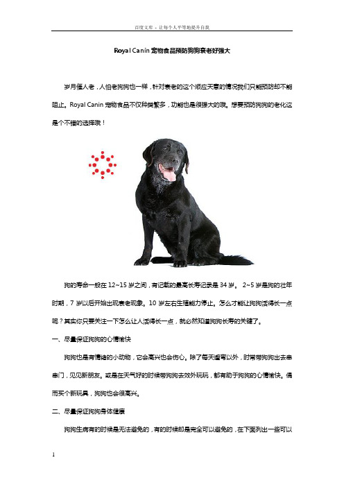 RoyalCanin宠物食品预防狗狗衰老好强大