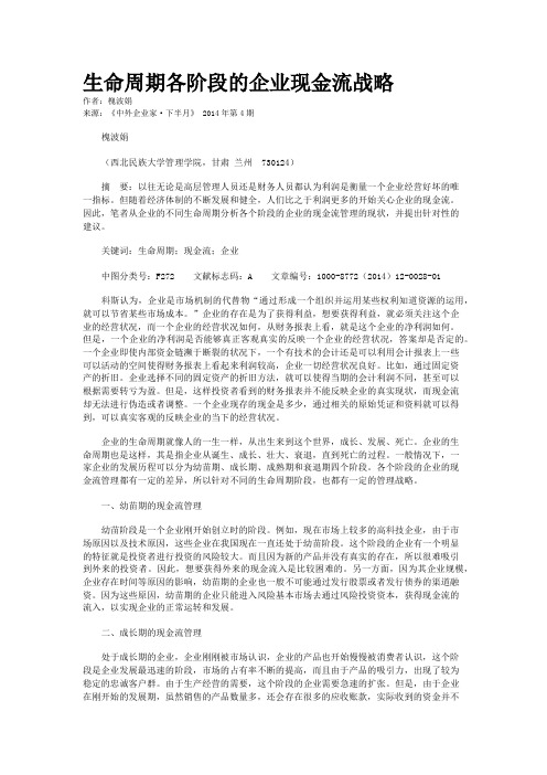 生命周期各阶段的企业现金流战略