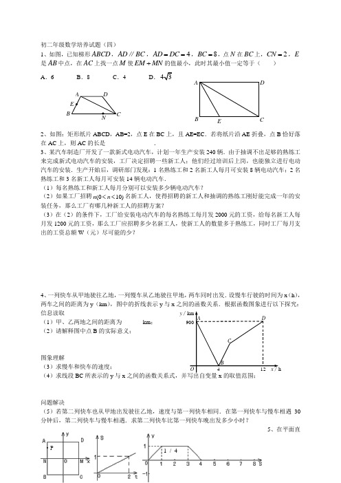 北师大版数学八下培优4