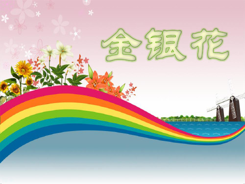 金银花