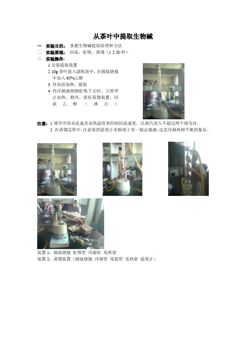 从茶叶中提取生物碱