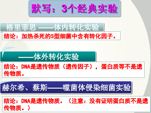3.2 DNA分子的结构 人教版高中生物必修二PPT教学课件