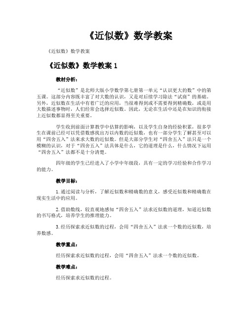 《近似数》数学教案