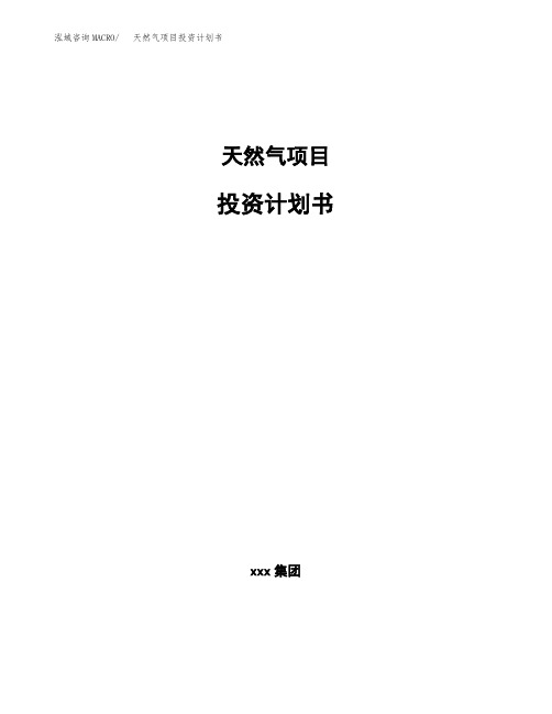 天然气项目投资计划书