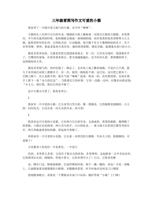 三年级看图写作文可爱的小猫