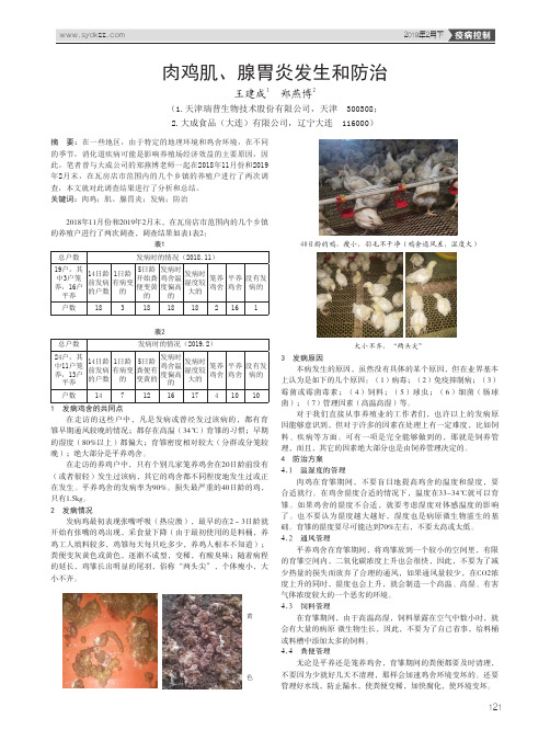 肉鸡肌、腺胃炎发生和防治