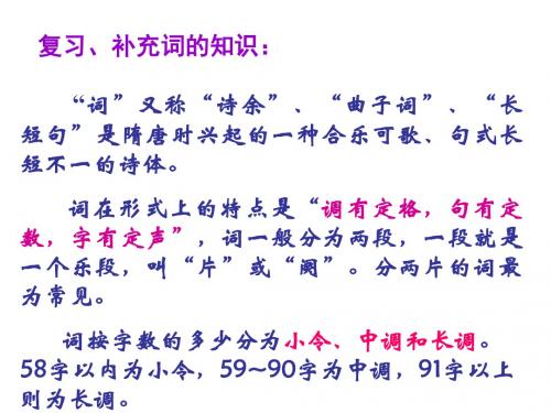 【高中语文】雨霖铃ppt精品课件153