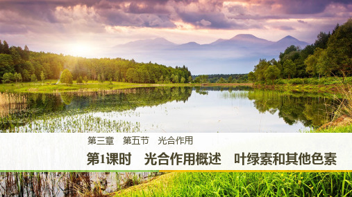 2018版高中生物浙科版必修一课件：3-5-1 光合作用概述