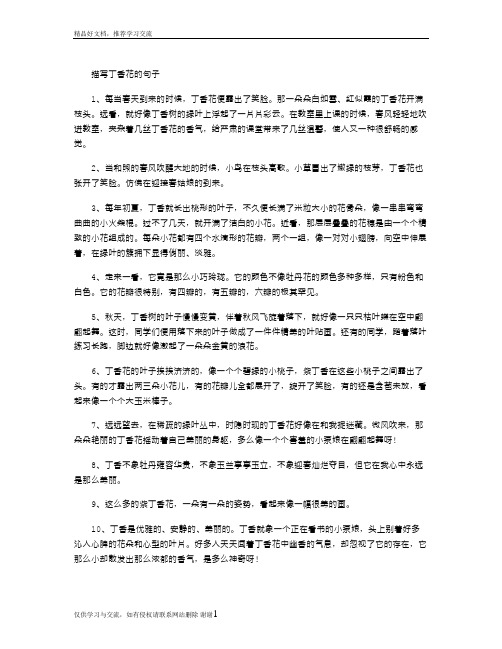 最新描写丁香花的句子