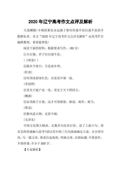 2020年辽宁高考作文点评及解析