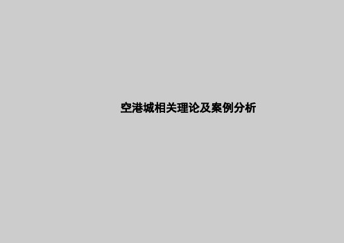 空港城相关理论及案例分析