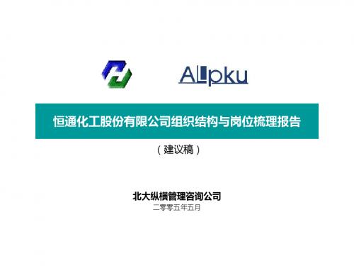 北大纵横—山东恒通—0519恒通化工股份公司组织结构与岗位梳理报告