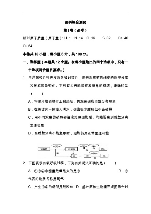 2020高考理科综合模拟测试含答案