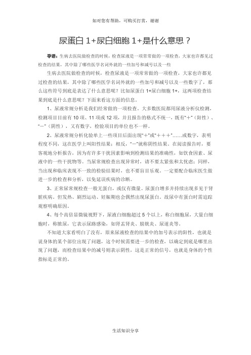 尿蛋白1+尿白细胞1+是什么意思？