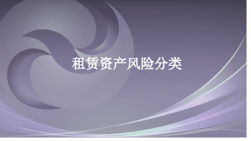 资产风险分类
