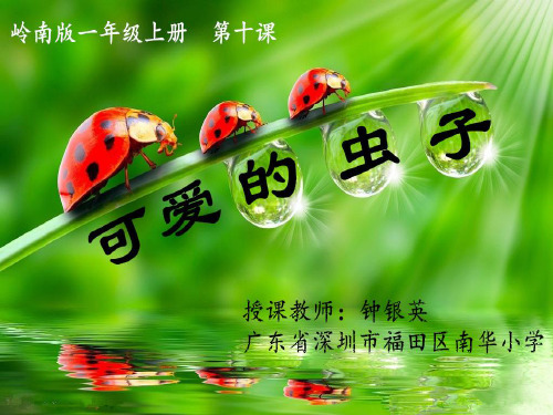 第三单元玩泥巴好快活10可爱的小虫课件小学美术岭南社版一年级上册