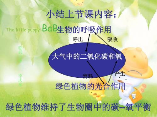 第三单元第六章爱护植被绿化祖国