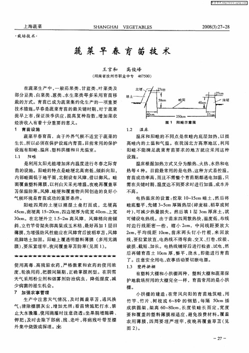 蔬菜早春育苗技术