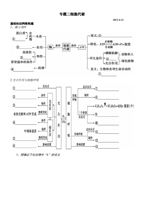 (精品)高中生物复习专题二细胞代谢