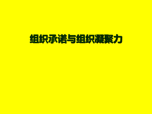 组织行为学48-19组织承诺