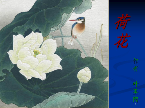 苏教版小学三年级语文下册《荷花