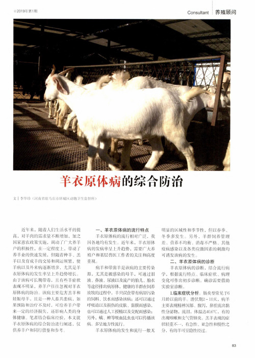 羊衣原体病的综合防治