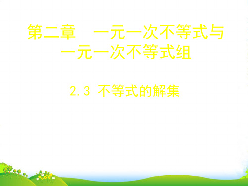 北师大版八年级数学下册第二章《 不等式的解集》公开课课件