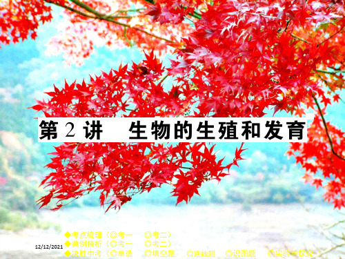 中考生物总复习 专题六 生物的生殖、发育与遗传 第2讲 生物的生殖和发育课件