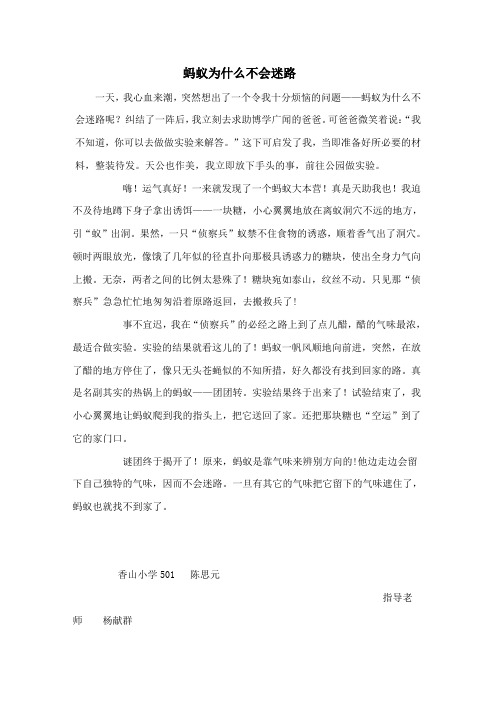 陈思元《蚂蚁为什么不会迷路》