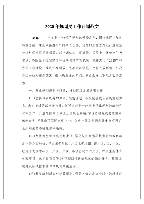 2020年规划局工作计划范文