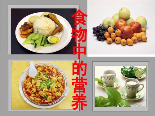 教科版小学科学四年级下册《食物中的营养》课件