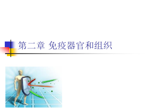 2 免疫器官和组织