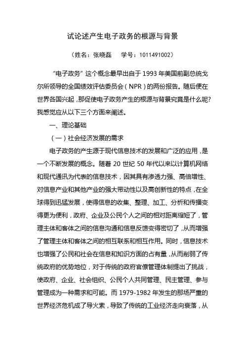试论述产生电子政务的根源与背景