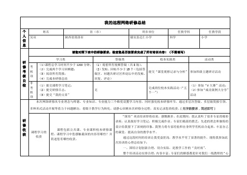 2013年国培网络研修总结模版