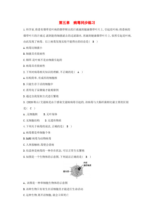 八年级生物上册 第五单元 生物圈中的其他生物 第5章 病毒同步练习(新版)新人教版