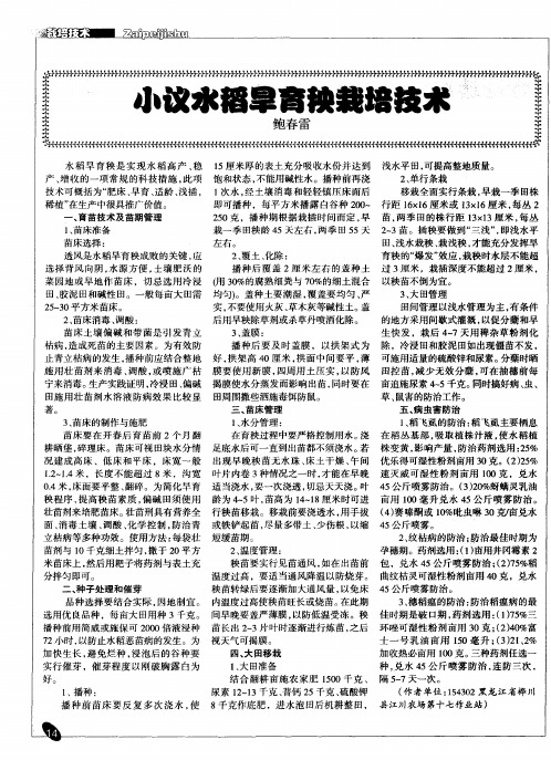 小议水稻旱育秧栽培技术