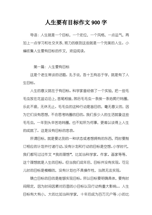 人生要有目标作文900字