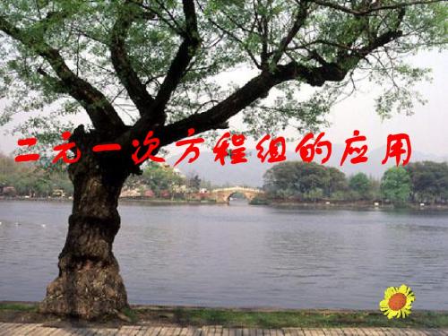 二元一次方程解决实际问题