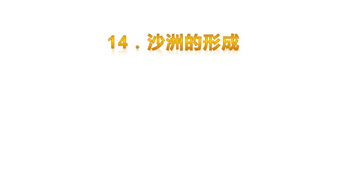 五年级科学下册课件-14沙洲的形成 - 冀教版(共27张PPT)
