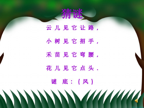《16风娃娃》ppt课件